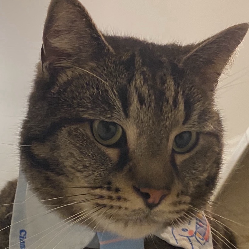 imeow profile photo