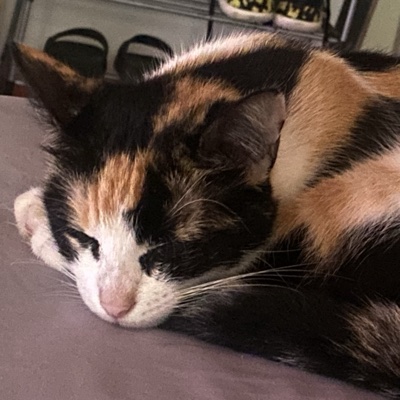 Martinez_27 profile photo