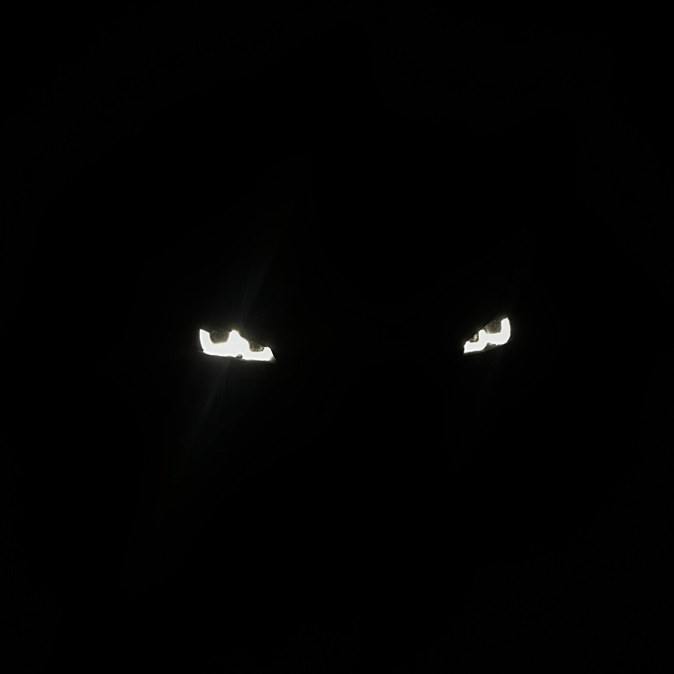 TallPine profile photo