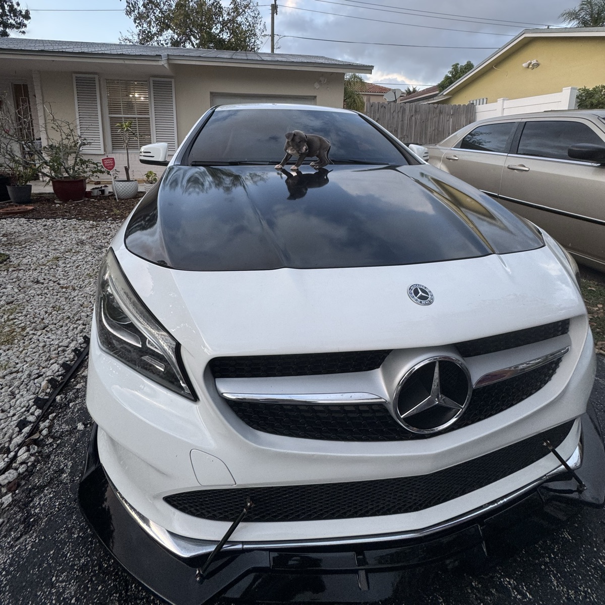 Octane Rating 91's 2018 Mercedes-Benz Cla-Class