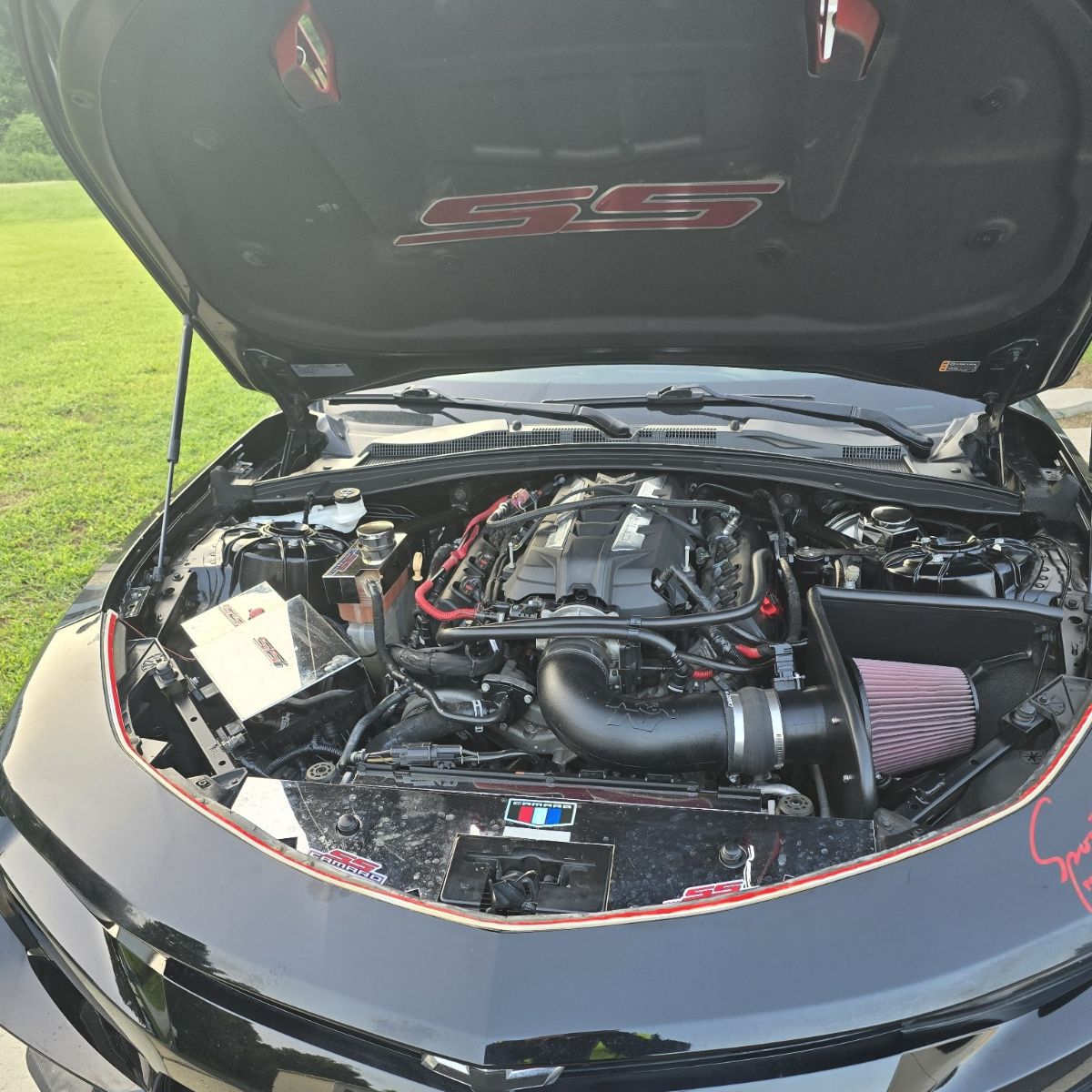 by Erik