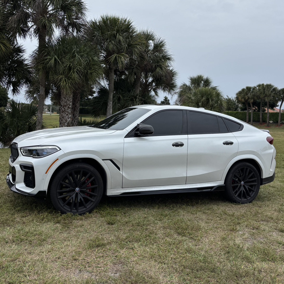 First post champ - by AJH