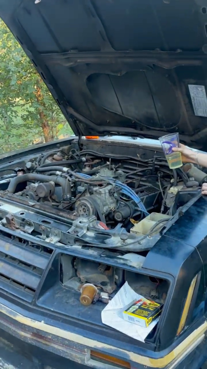 RiLaTeX's 1982 Ford Mustang