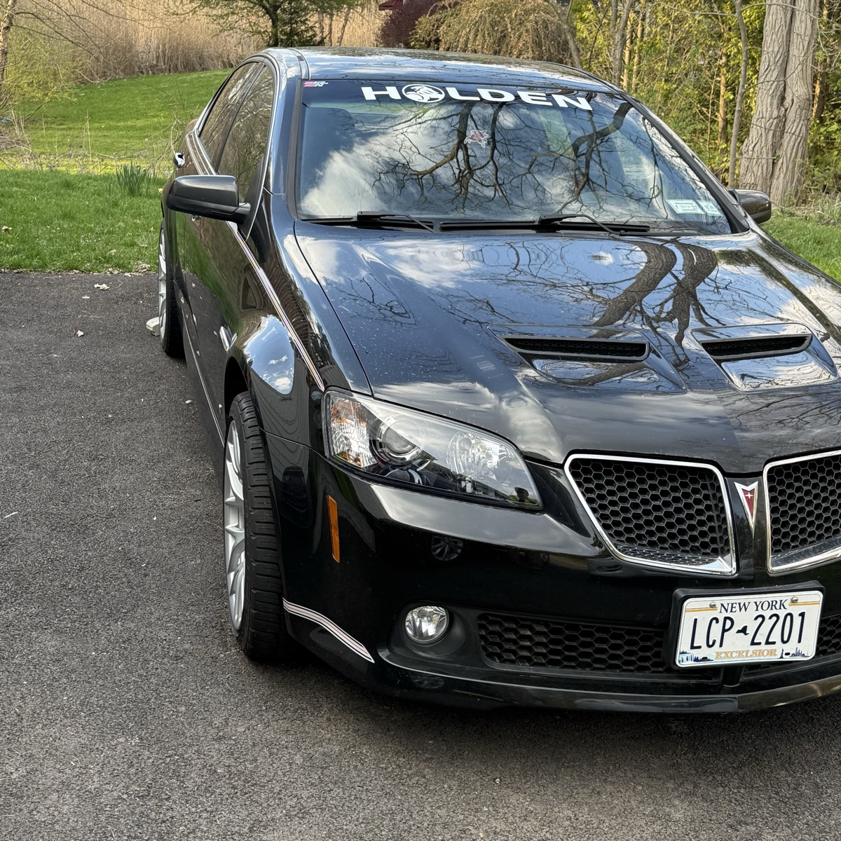 Ready for  the first bath after Hibernation - by Power