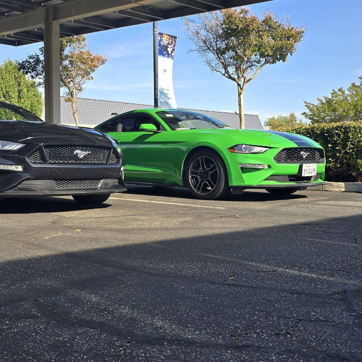 blue_oval_boosted's 2019 Ford Mustang