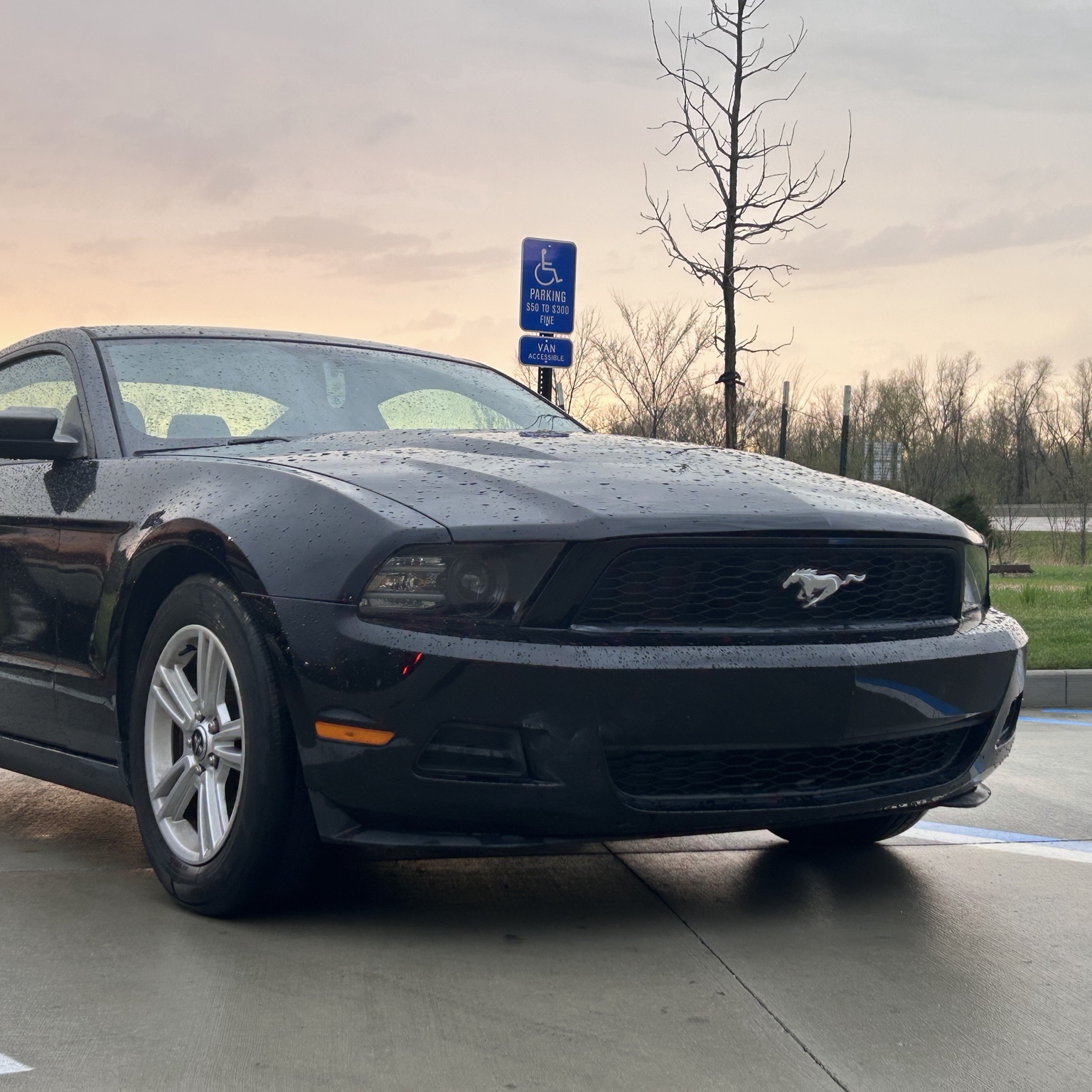 2013 Ford Mustang