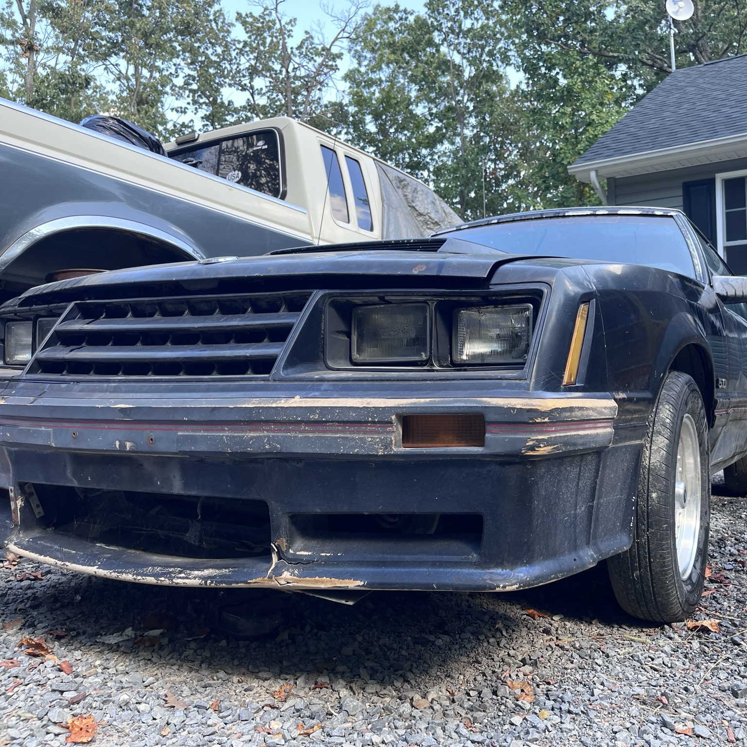 1982 Ford Mustang