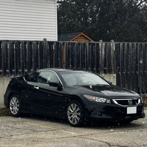 2010 Honda Accord