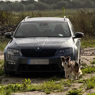 2015 Skoda Octavia
