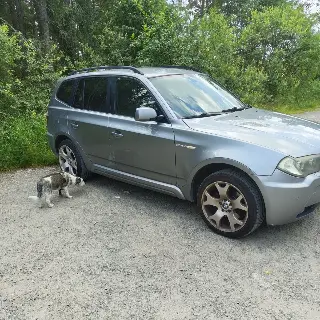 2008 BMW X3
