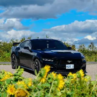 2024 Ford Mustang