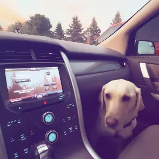 2013 Ford Edge