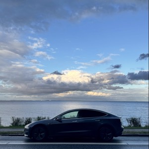 2019 Tesla 3