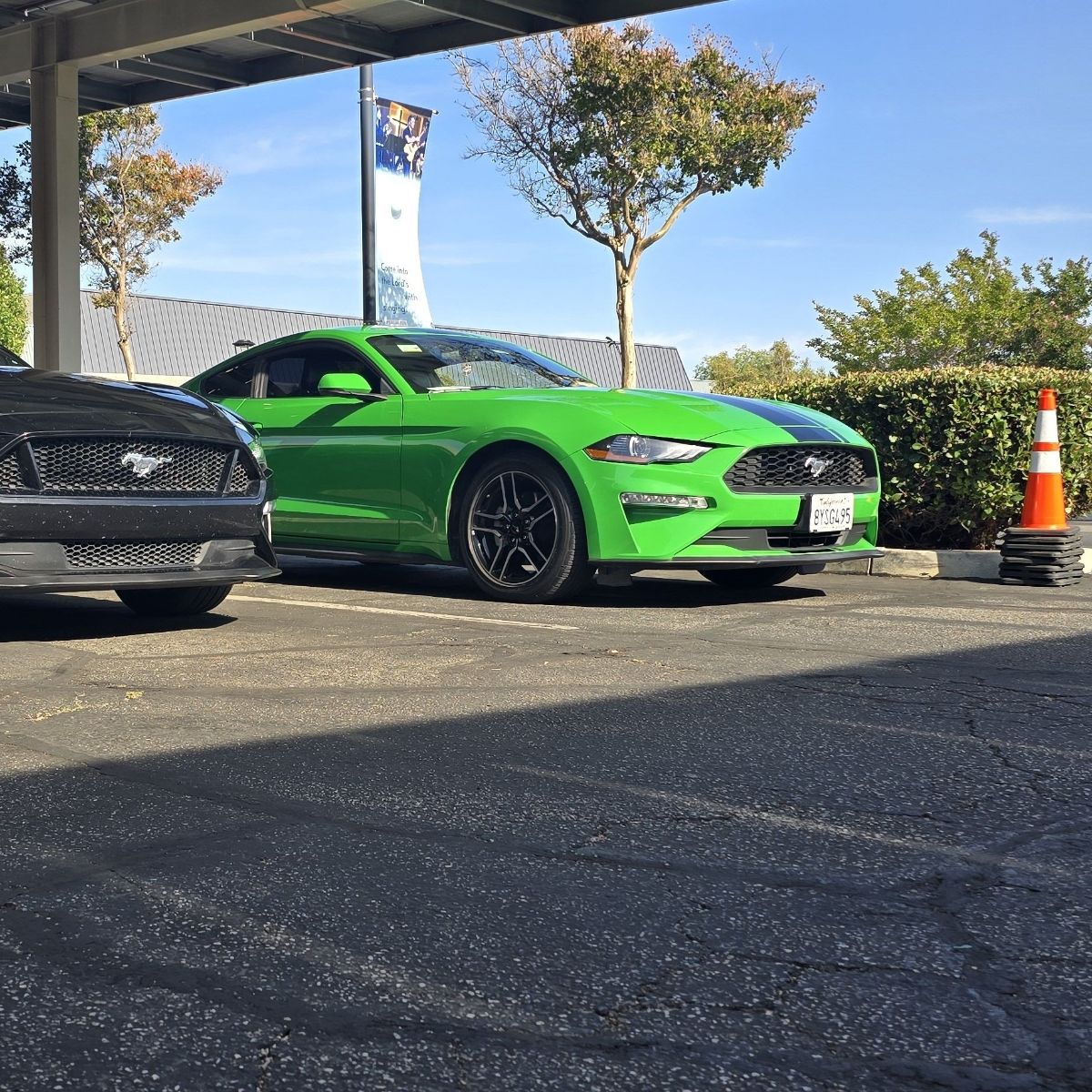 2019 Ford Mustang