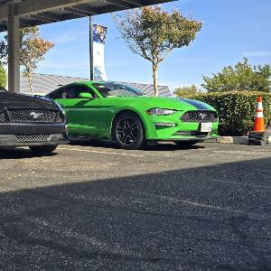 2019 Ford Mustang
