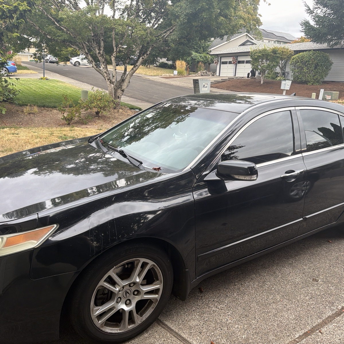 2009 Acura Tl