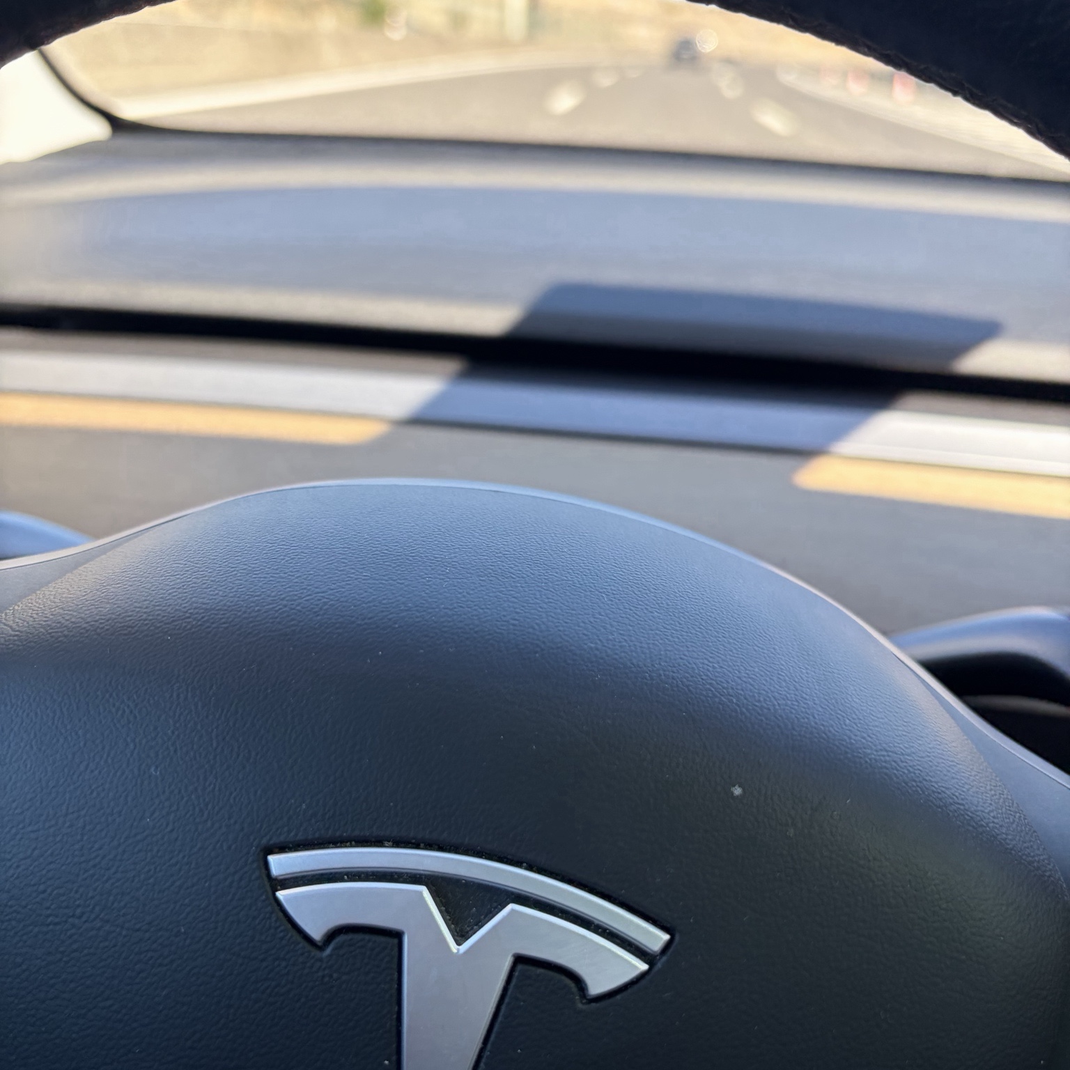 2019 Tesla M3 LR