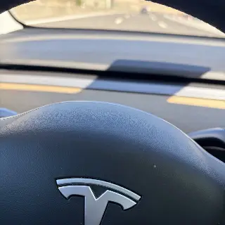 2019 Tesla M3 LR
